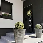 فيلة Vendeghaz